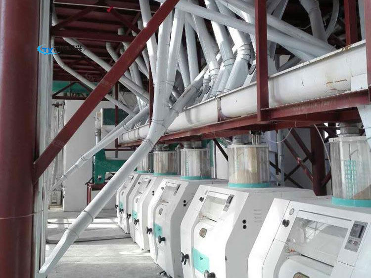 面粉機械設備在國內的廣泛應用與出口前景